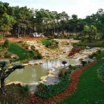 Screenshot_20191207-213321435_1.jpg Screenshot_20191207-213321435_1.jpg