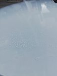 IMG_20201006_165512.jpg