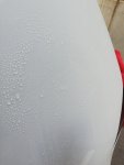 IMG_20201006_165425.jpg