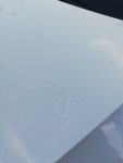 IMG_20201006_165522.jpg
