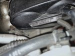 IMG_20201127_191045.jpg