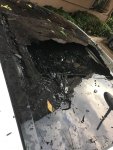 IMG-20170729-WA0008.jpg