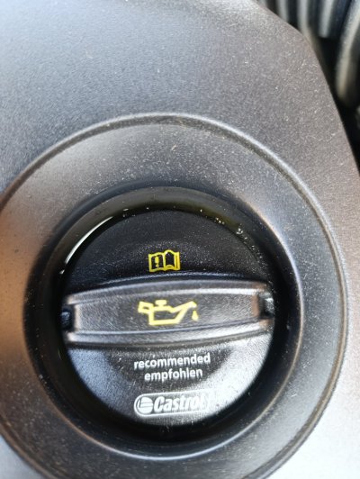 1000066640.jpg