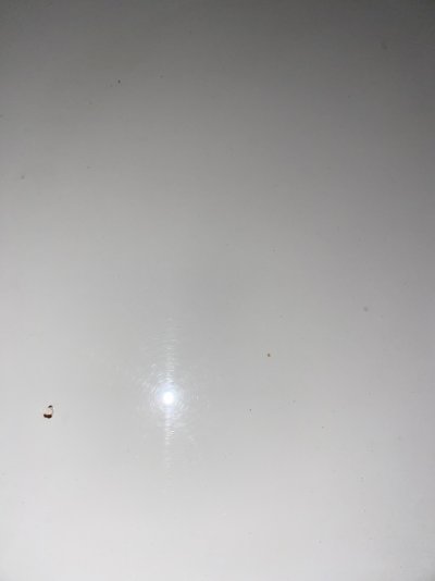 IMG_5472.jpeg