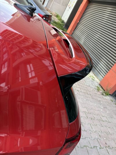 IMG_0461.jpeg