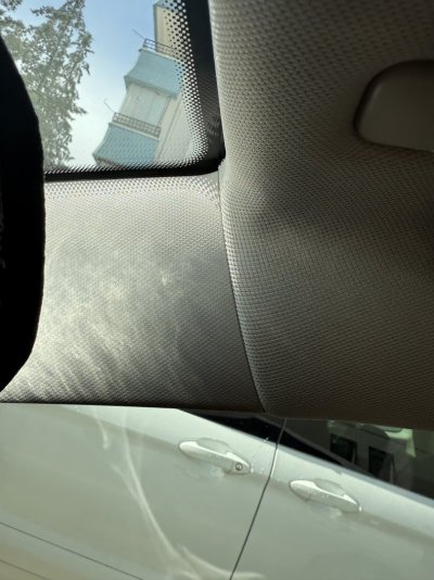 IMG_1975.jpeg IMG_1975.jpeg