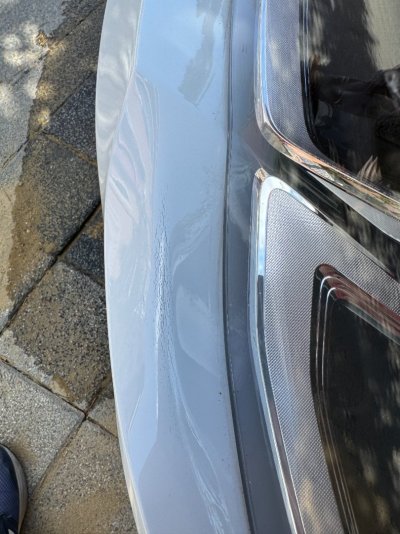 IMG_8551.JPG IMG_8551.JPG