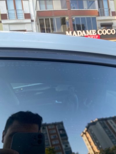 IMG_3765.jpeg
