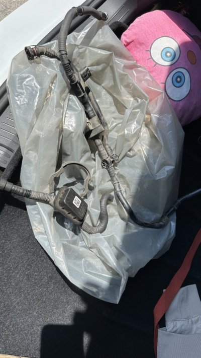 IMG_3284.jpeg IMG_3284.jpeg