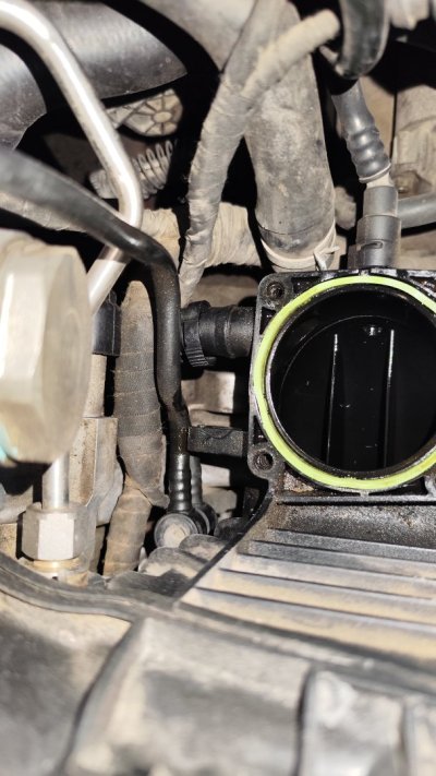 IMG_20250913_175015.jpg IMG_20250913_175015.jpg