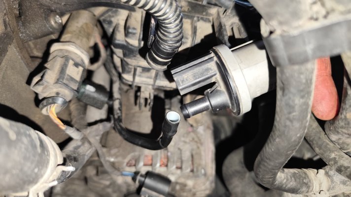 IMG_20250913_175530.jpg IMG_20250913_175530.jpg