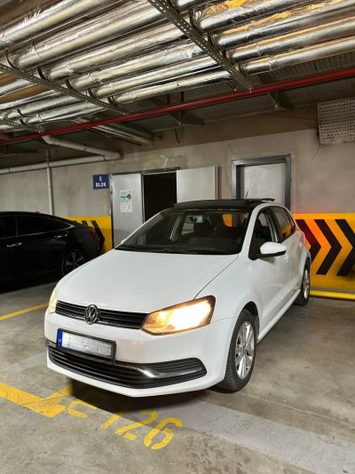 Polo 6C.jpg