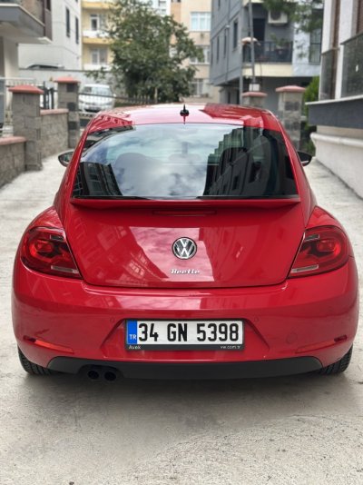 beetle2.jpg