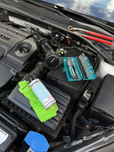 IMG_0499.JPEG IMG_0499.JPEG