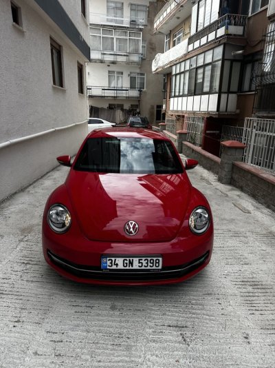 beetle1.jpg beetle1.jpg