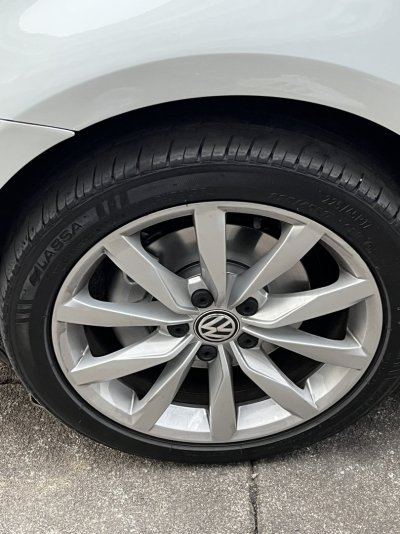 IMG_0803.JPEG IMG_0803.JPEG