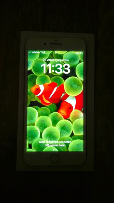 WhatsApp Image 2025-12-24 at 11.38.47.jpeg