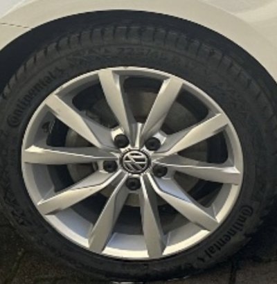 IMG_3384.jpeg IMG_3384.jpeg