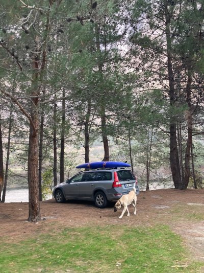 WhatsApp Image 2026-02-10 at 13.49.46.jpeg