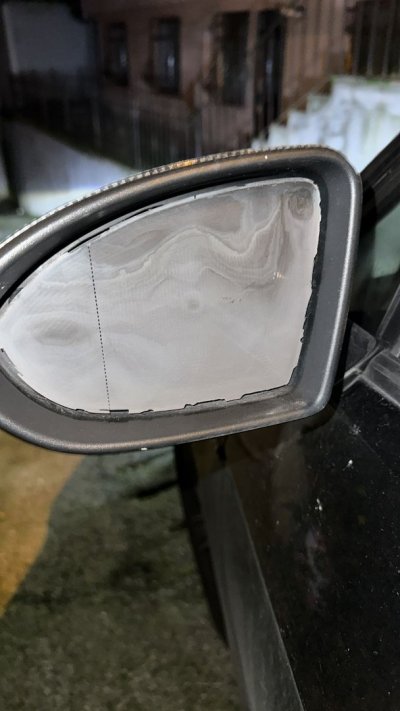 WhatsApp Image 2026-02-11 at 14.04.41.jpeg