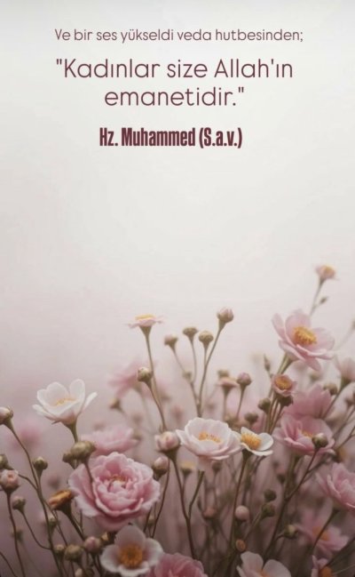 IMG_3943.jpeg IMG_3943.jpeg