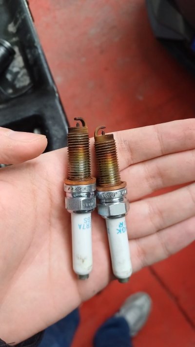 WhatsApp Image 2026-02-28 at 13.11.23.jpeg