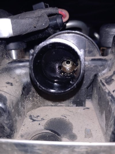 20260329_141451.jpg 20260329_141451.jpg