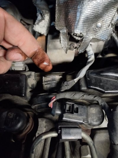 20260329_140658.jpg 20260329_140658.jpg