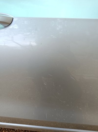 IMG_20260505_124918.jpg