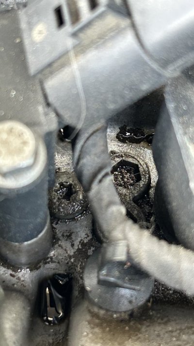 IMG_8023.jpeg IMG_8023.jpeg