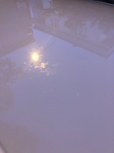 IMG_3432.jpeg