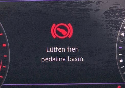 1000171279.jpg