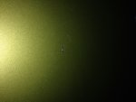 image.jpeg