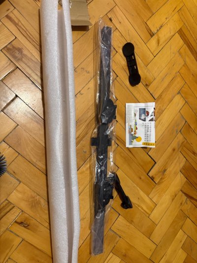 IMG_6350.jpeg
