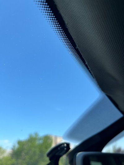 IMG_7895.jpeg