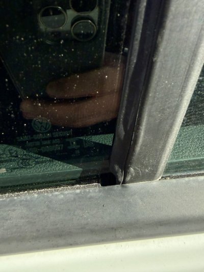 IMG_4828.jpeg