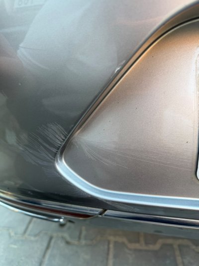 911f19e3-8db9-4d6d-81f6-c24f3350d64a.jpeg