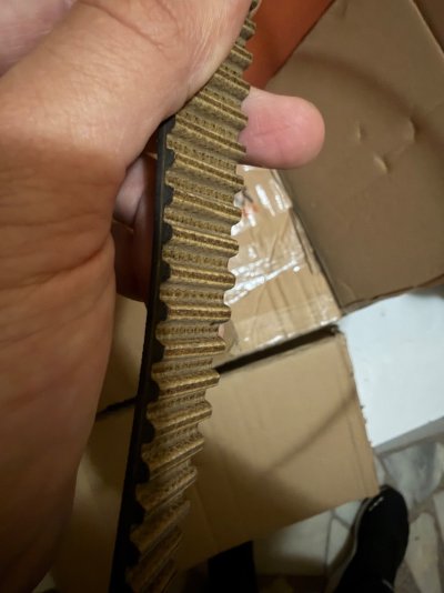 IMG_4382.jpeg