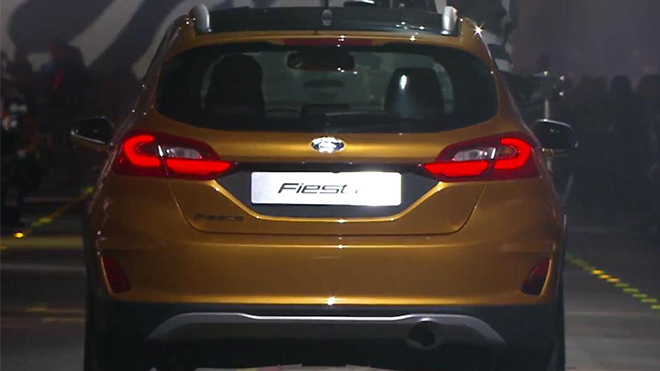 fiesta8.jpg